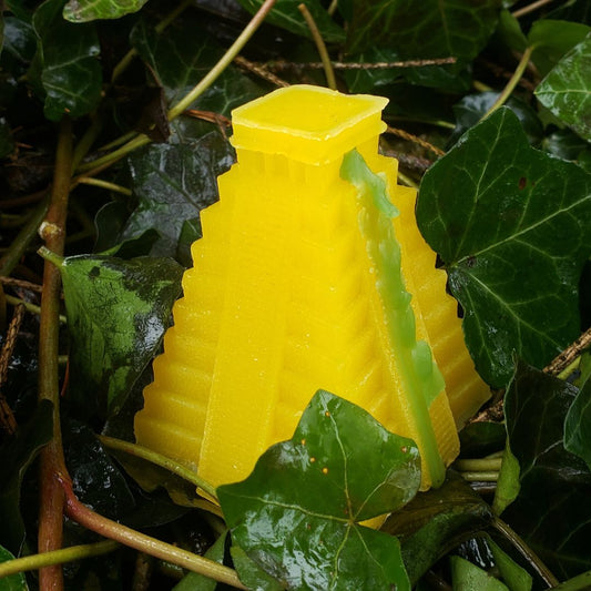 Pond Scum Ledges Of The Hidden Temple Skate Wax - Yellow