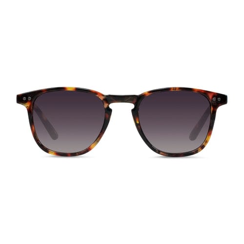 CASSTTE OPTICS SUNGLASSES Cassette Optics Standard Sunglasses - Whiskey Tortoise