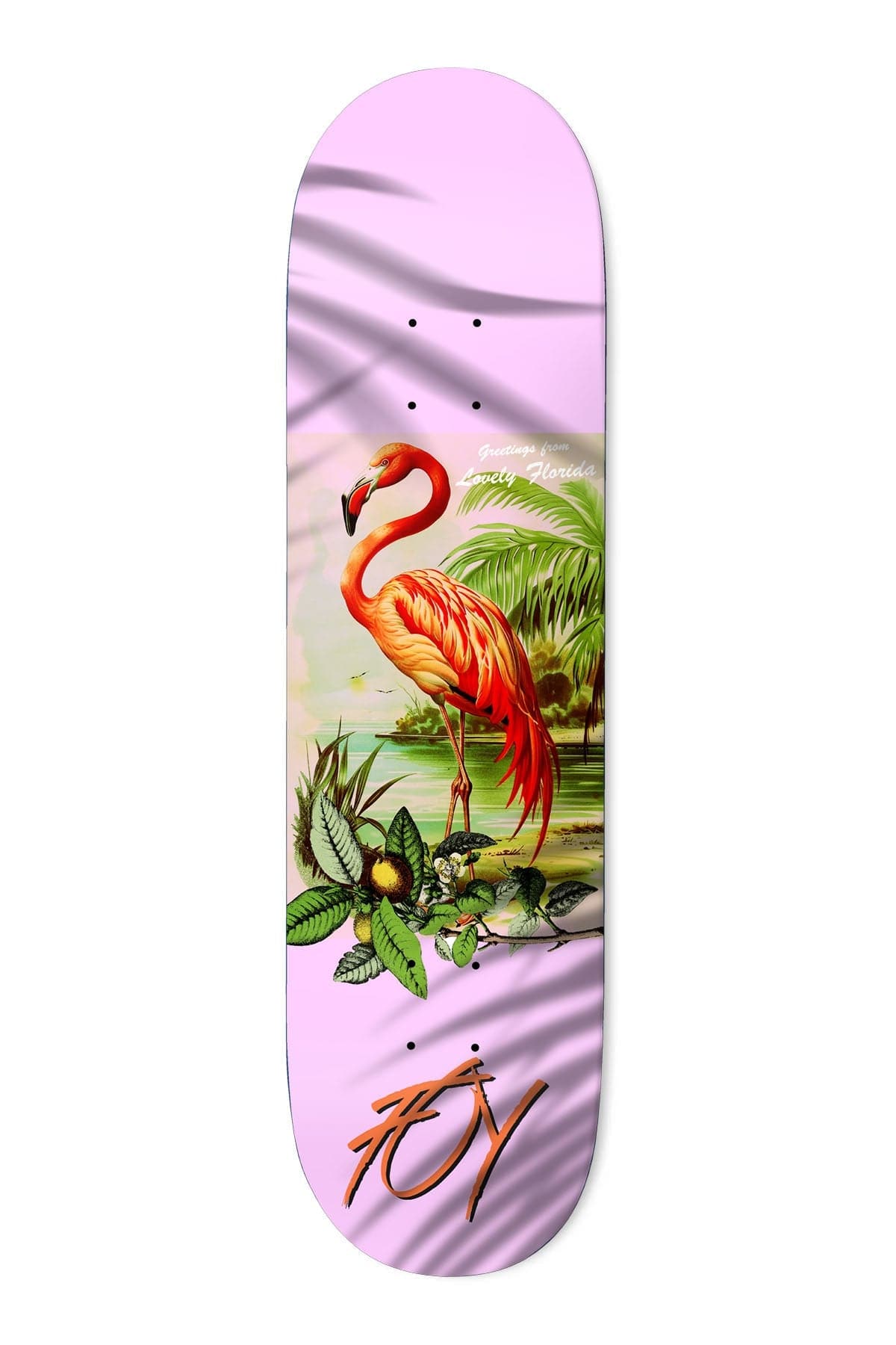Deathwish DECK 8.0 Deathwish Jamie Foy Flamingo Deck - 8.0
