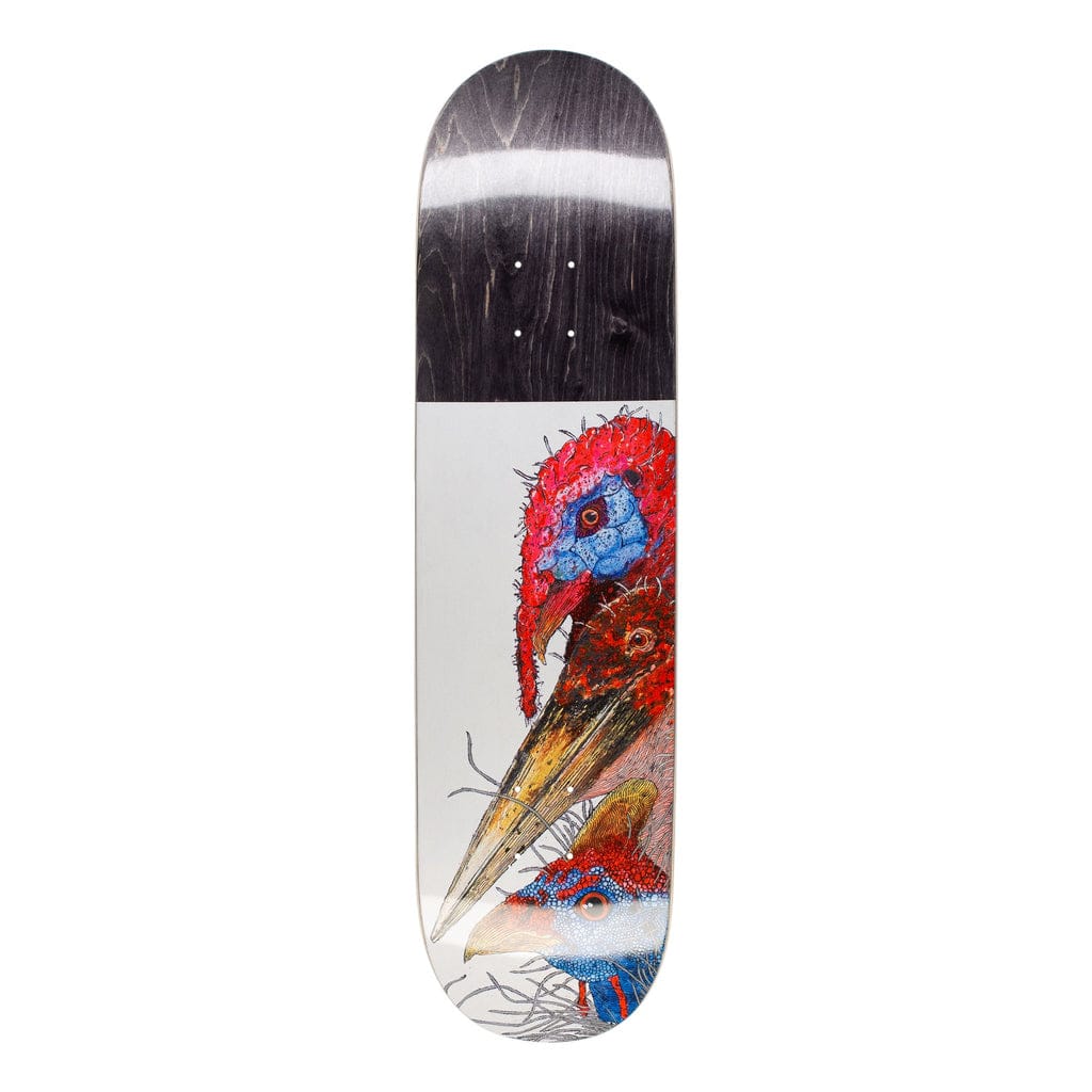 GX1000 DECK 8.12 GX1000 Birds Deck - 8.12