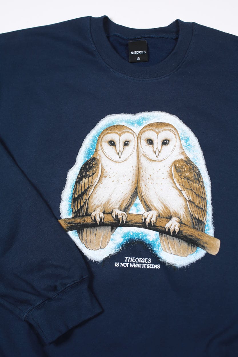 THEORIES OF ATLANTIS CREWNECK Theories Not What They Seem Crewneck - Navy