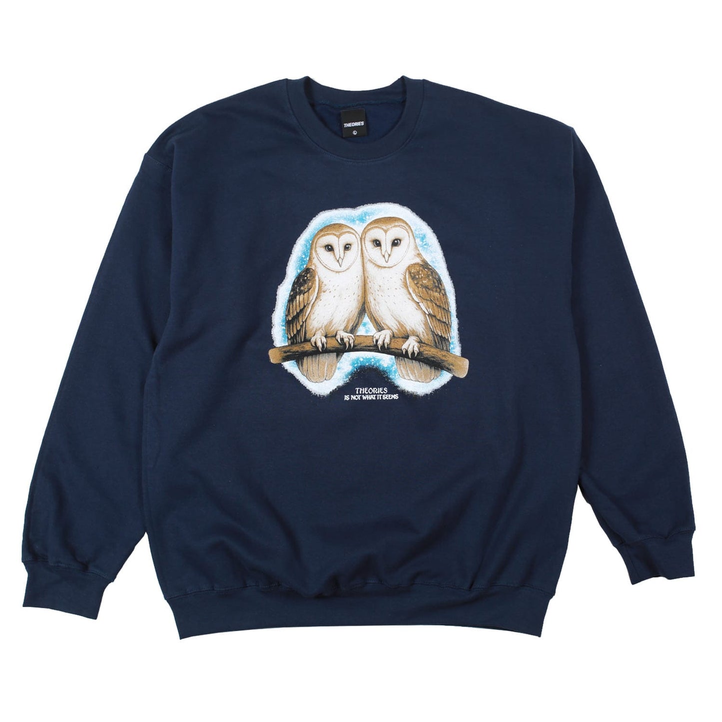 THEORIES OF ATLANTIS CREWNECK Theories Not What They Seem Crewneck - Navy