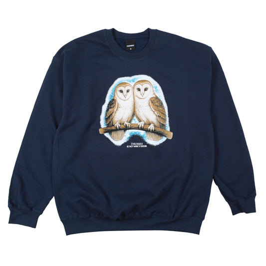 THEORIES OF ATLANTIS CREWNECK Theories Not What They Seem Crewneck - Navy