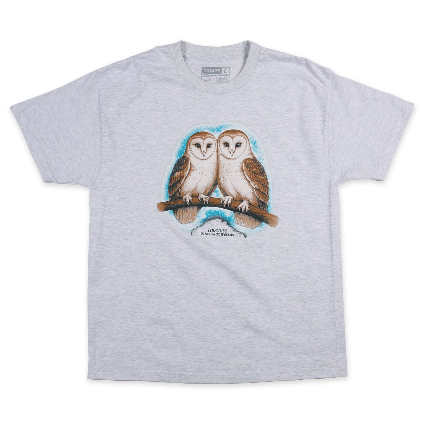 THEORIES OF ATLANTIS T-SHIRT Theories Not What They Seem Tee - Ash