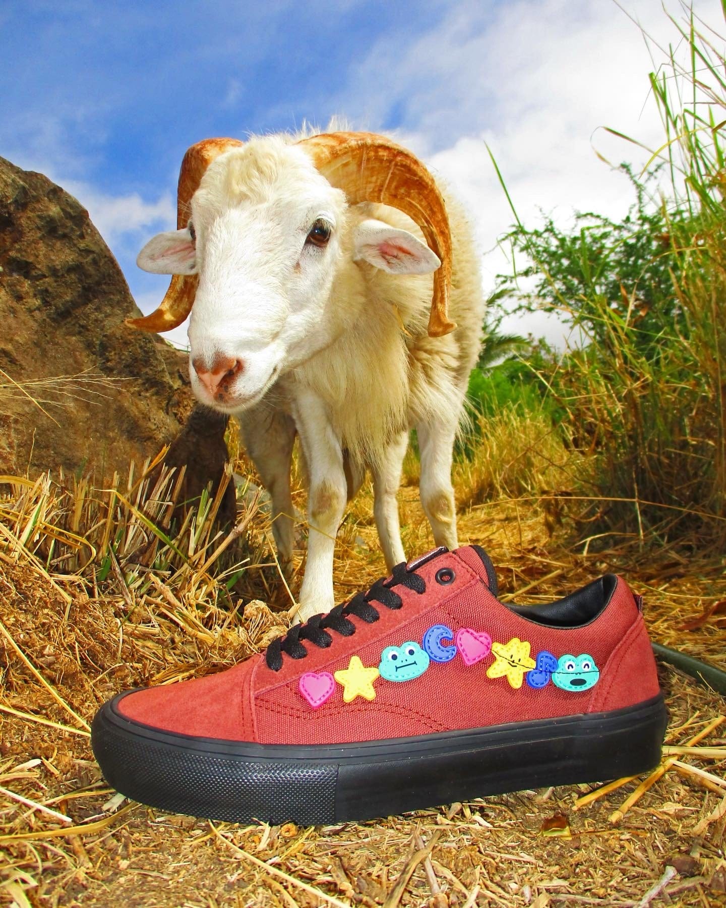 VANS SHOE VANS Vans Skate Old Skool - (Frog) Burgundy Black